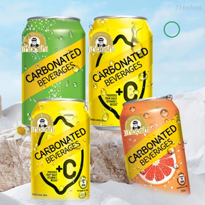 批發自有品牌 330ML 罐裝果汁起泡碳酸異國蘇打水水軟飲料 