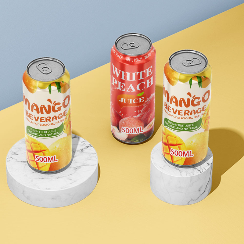 定制自有品牌飲料各種口味起泡果汁異國情調碳酸混合飲料 