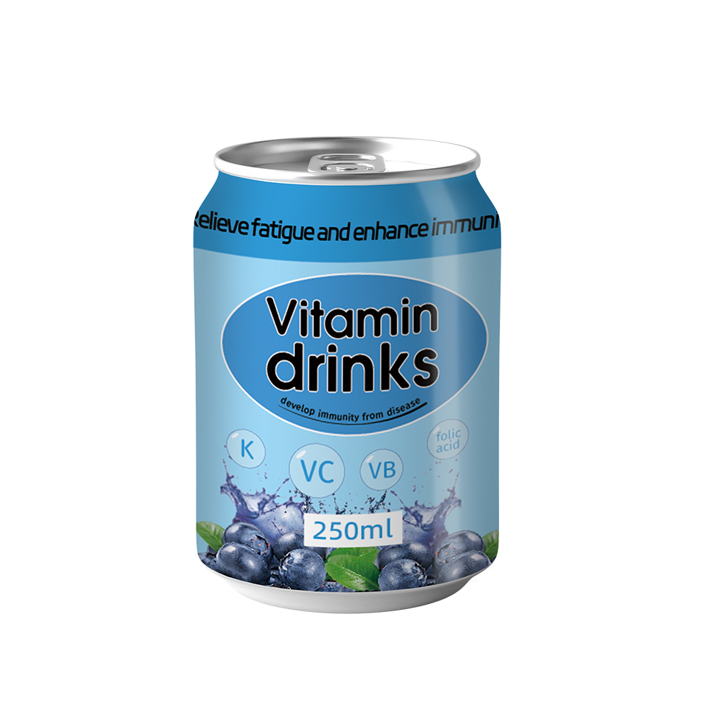  OEM 自有品牌 250 毫升罐裝檸檬味維生素 C 起泡能量水軟飲料
